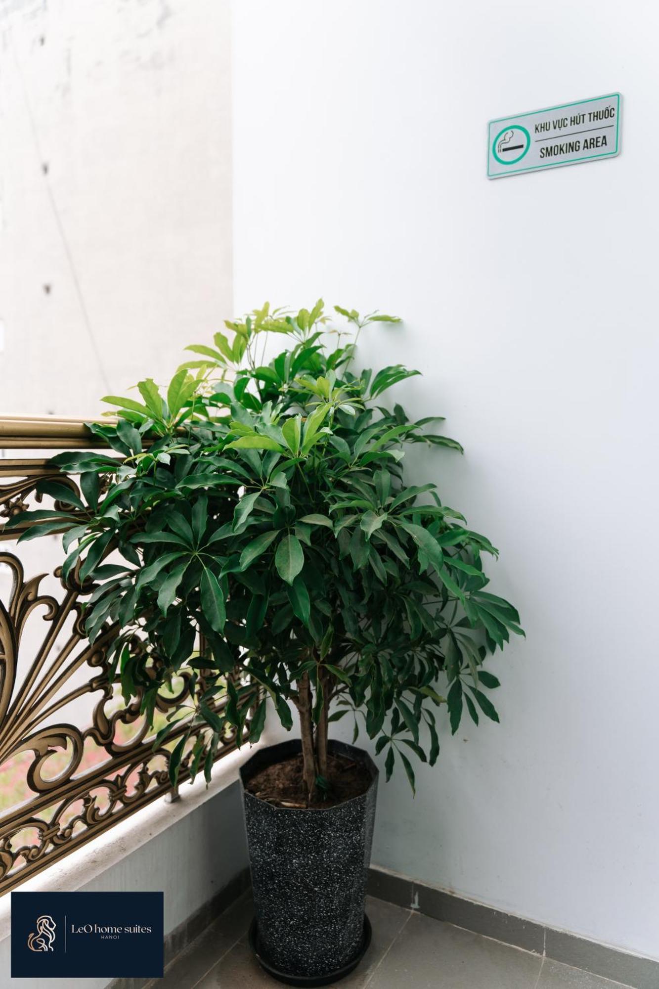 Home Suites -Natural Light -Projector -Spacious - 2Br Incenter Hanoi Zewnętrze zdjęcie